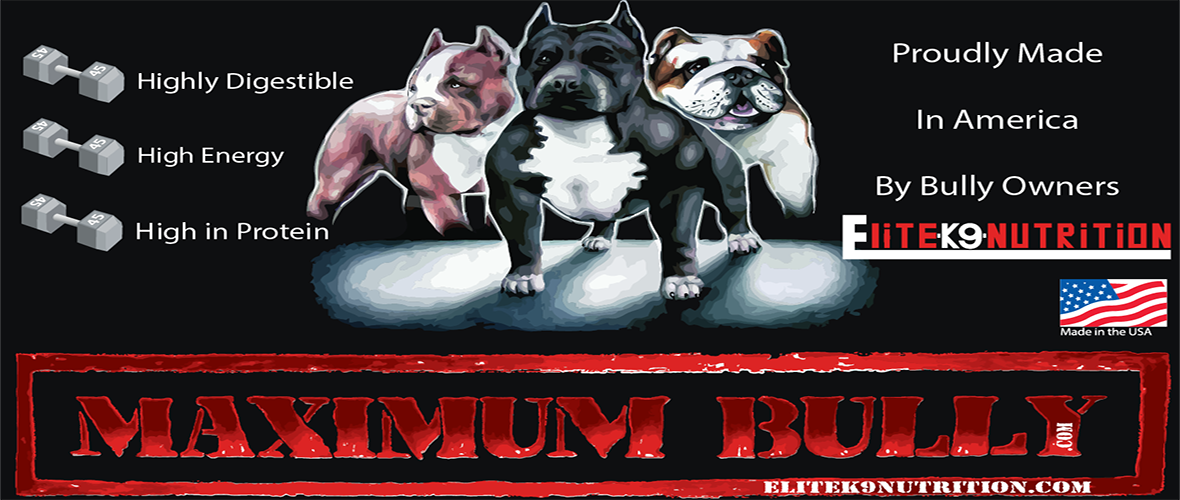 American Bully Feeding Chart