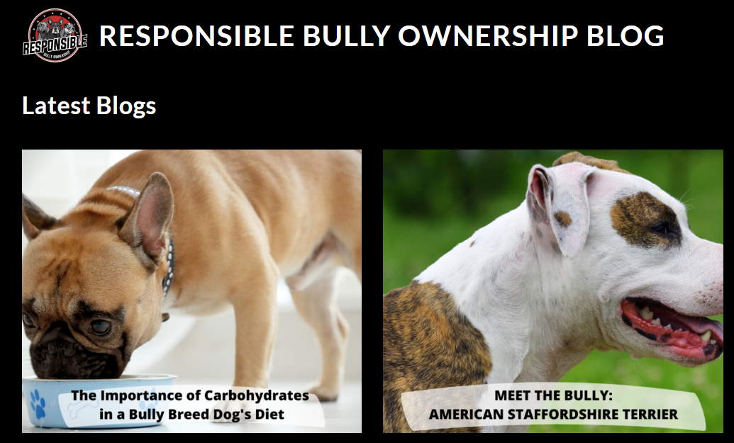 RESPONSIBLE BULLY OWNERSHIP BLOG